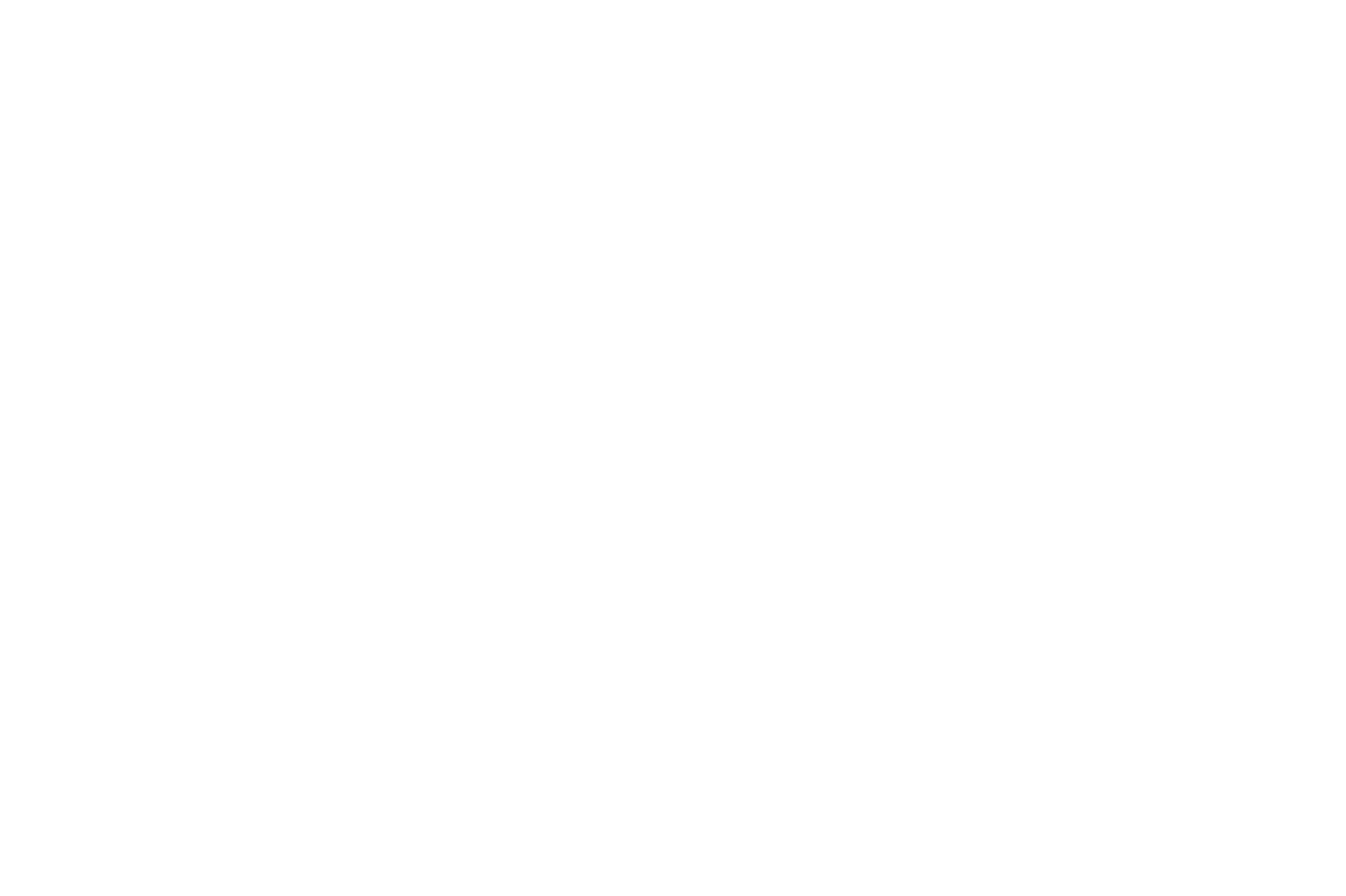 sk soon logo f-02.0